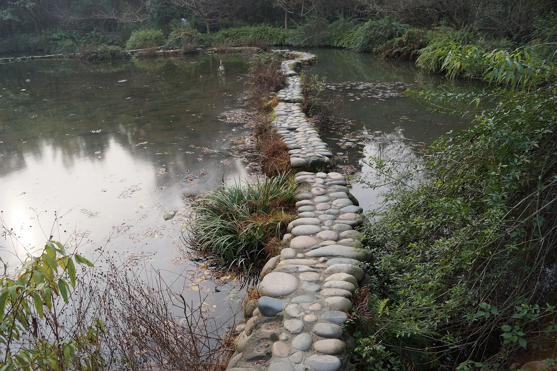 A line of stones across garden water, photographed in 2013.