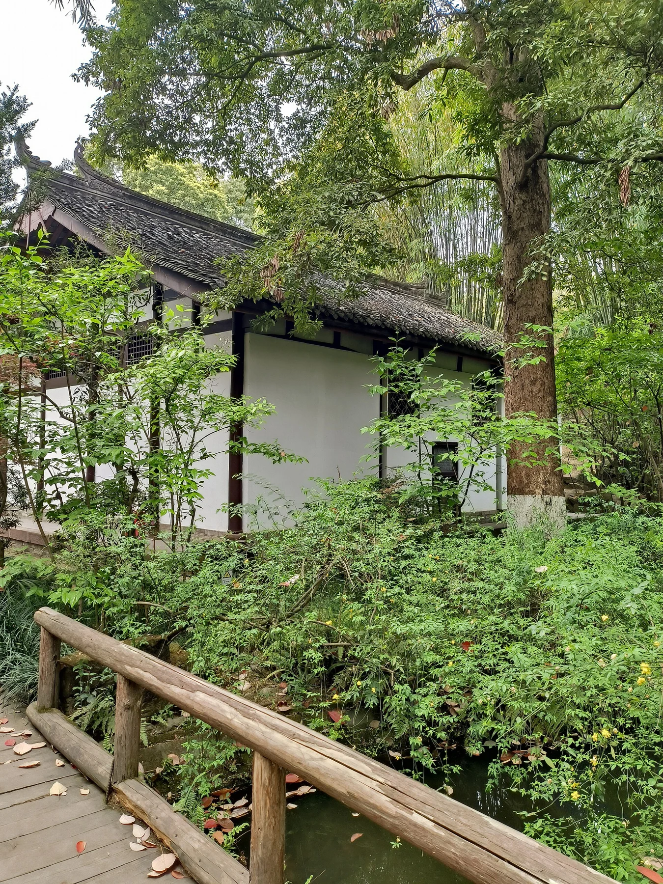 White walls, a tiled roof and bamboo in the museum grounds, photographed in April 2023.