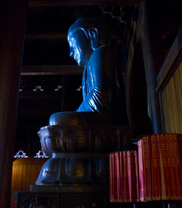 Side profile of the seated Buddha with cool reflected light.