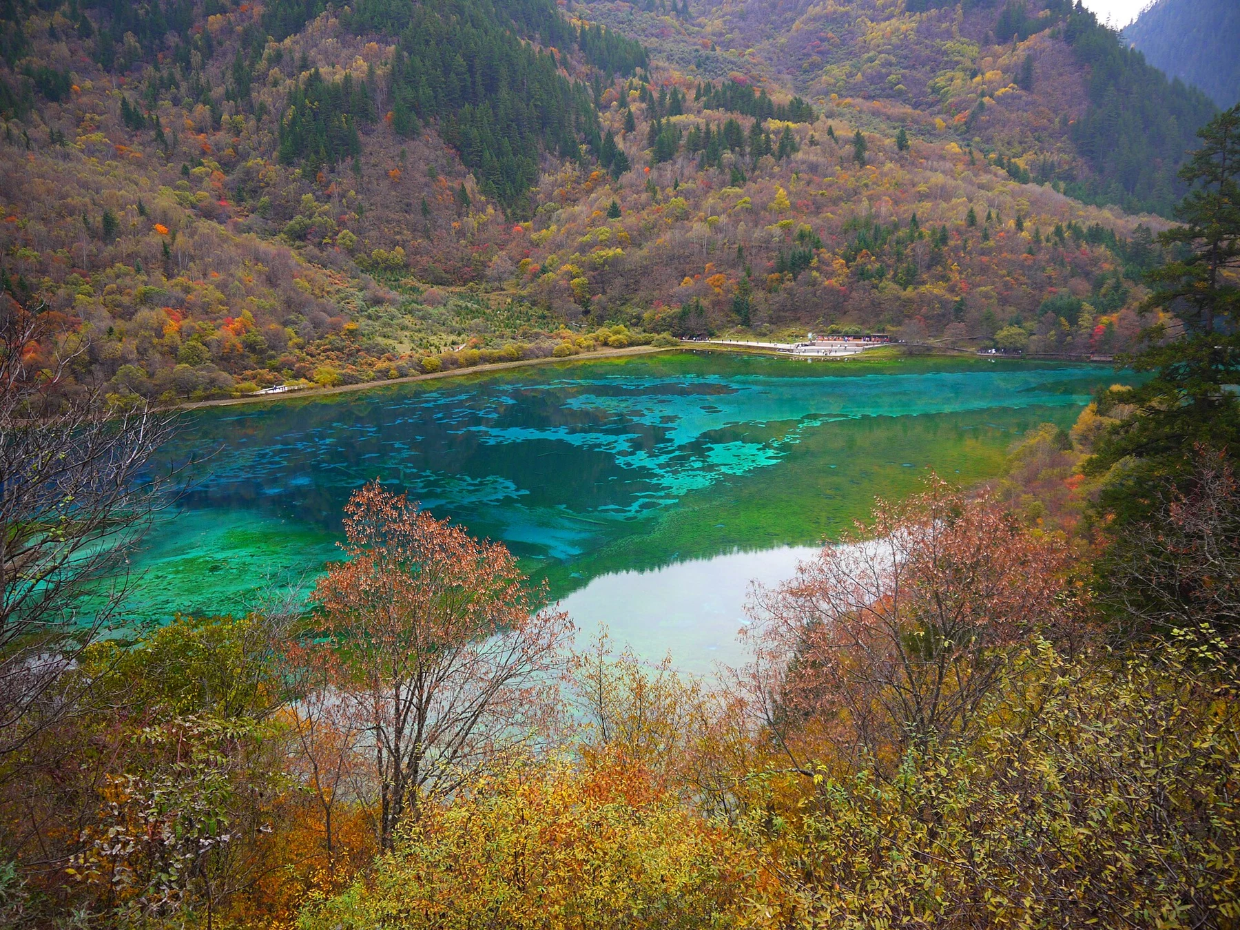 Five Flower Lake destination photograph