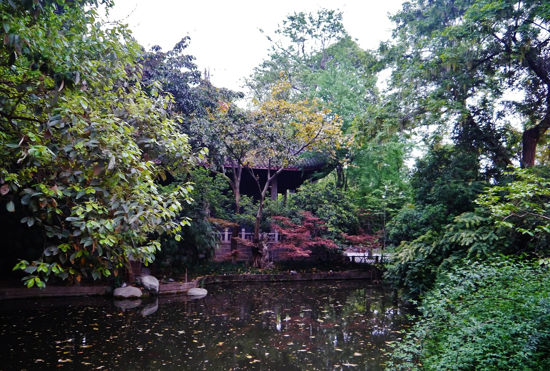 Pond and dense greenery with a tiled pavilion roof beyond