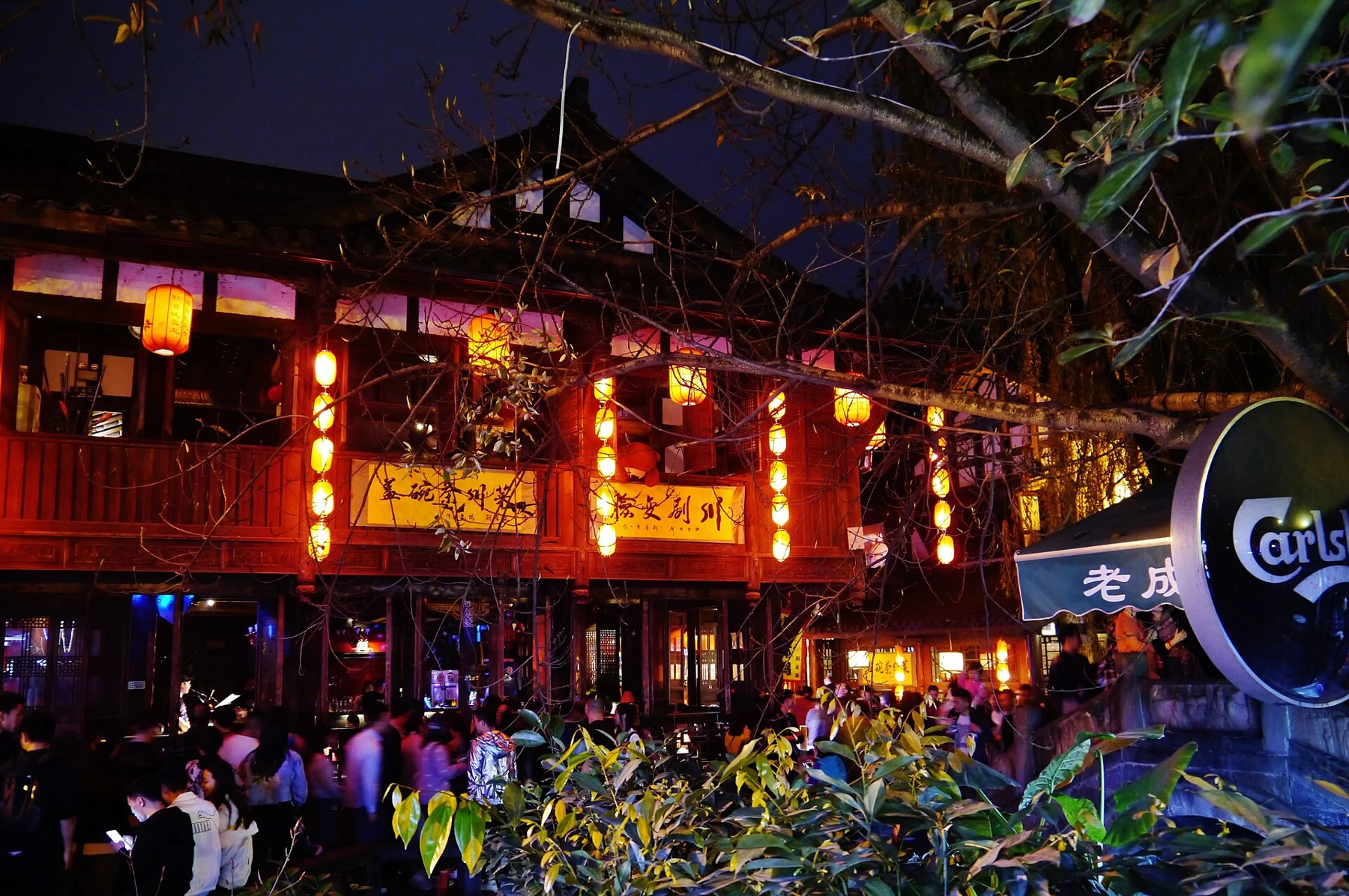Lit upper-floor commercial frontage behind branches and people