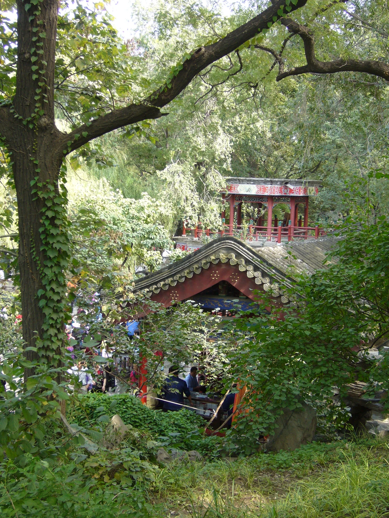 A garden view through leafy trees toward small decorated roofs and rockwork.