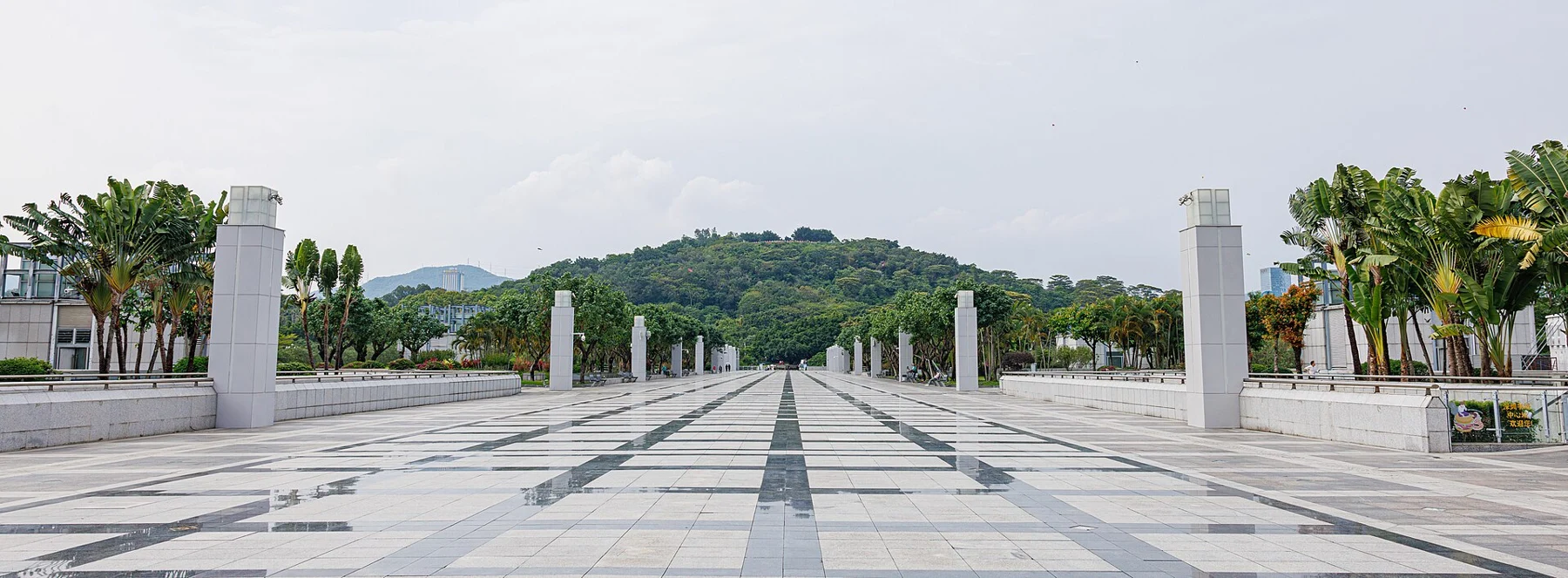 Paved park approach with white columns, palms and a wooded hill beyond