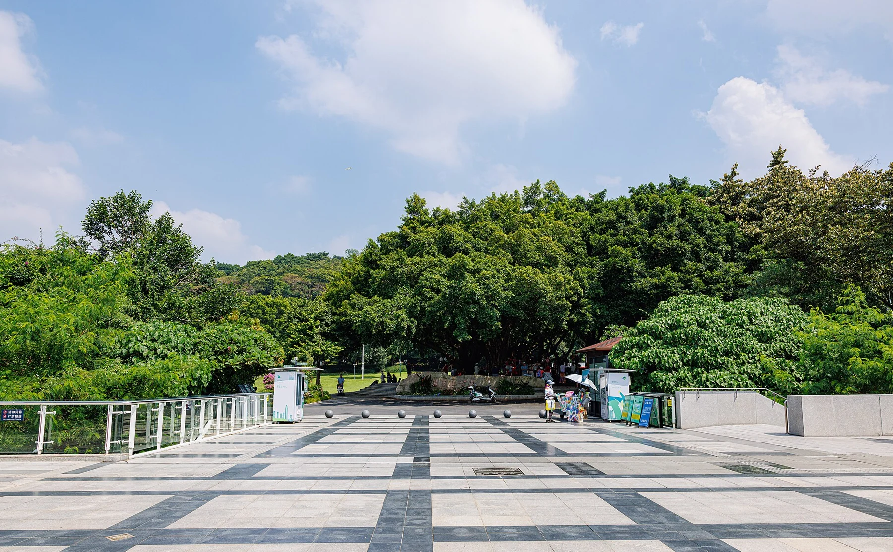 Park paving leading toward a densely wooded hill