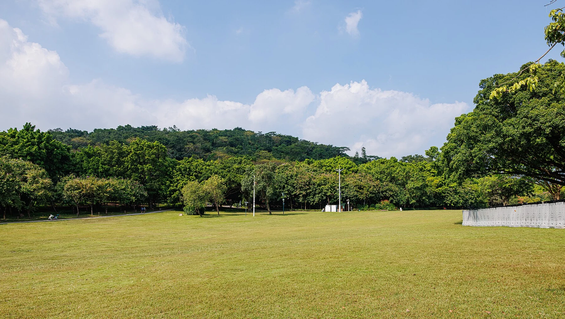 Open lawn, path and dense trees with a wooded hill beyond