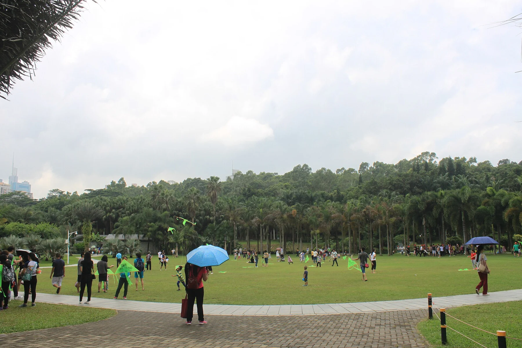 People, umbrellas and a green lawn bordered by palms