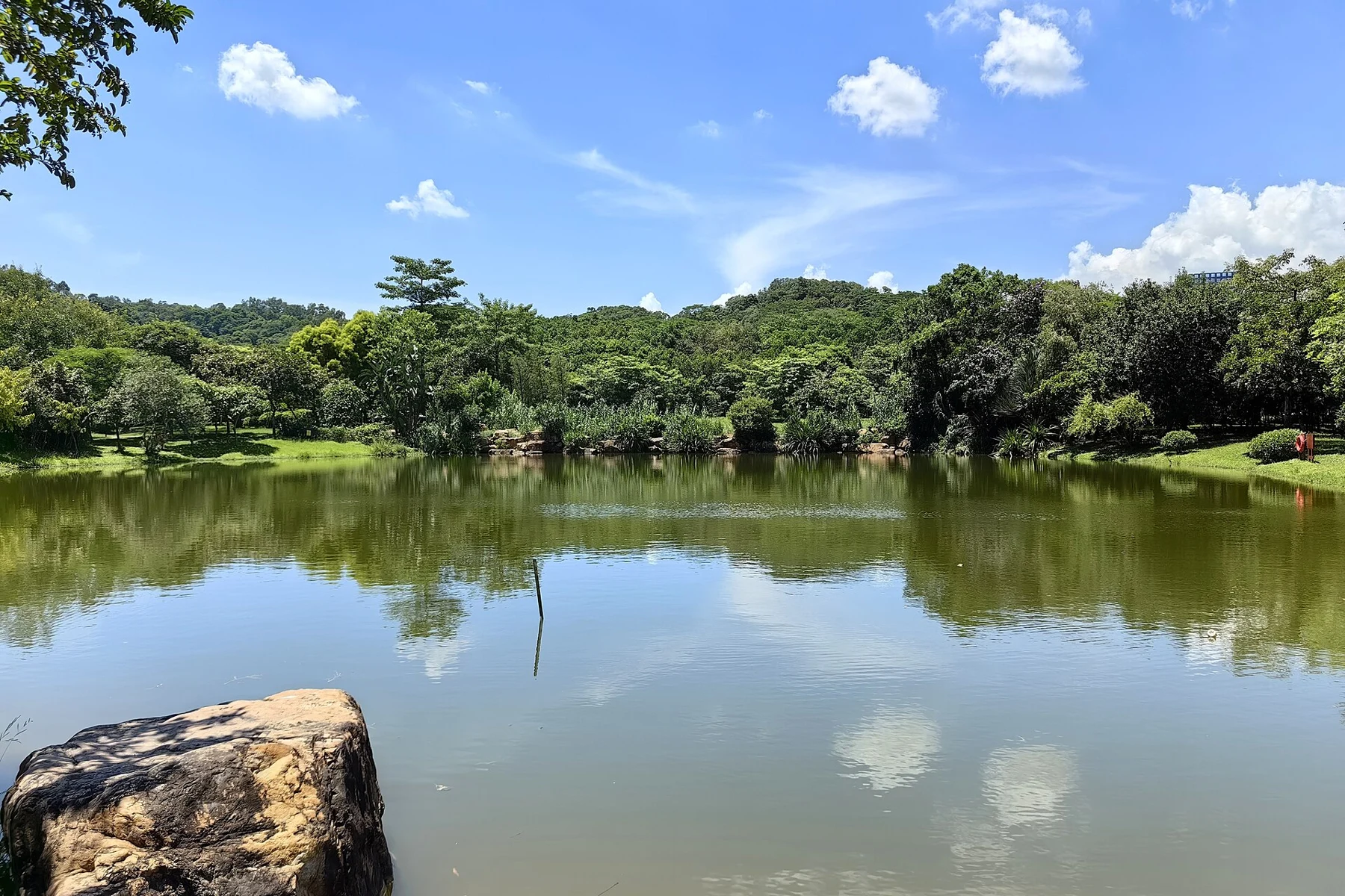 Still pond reflecting blue sky, clouds and trees