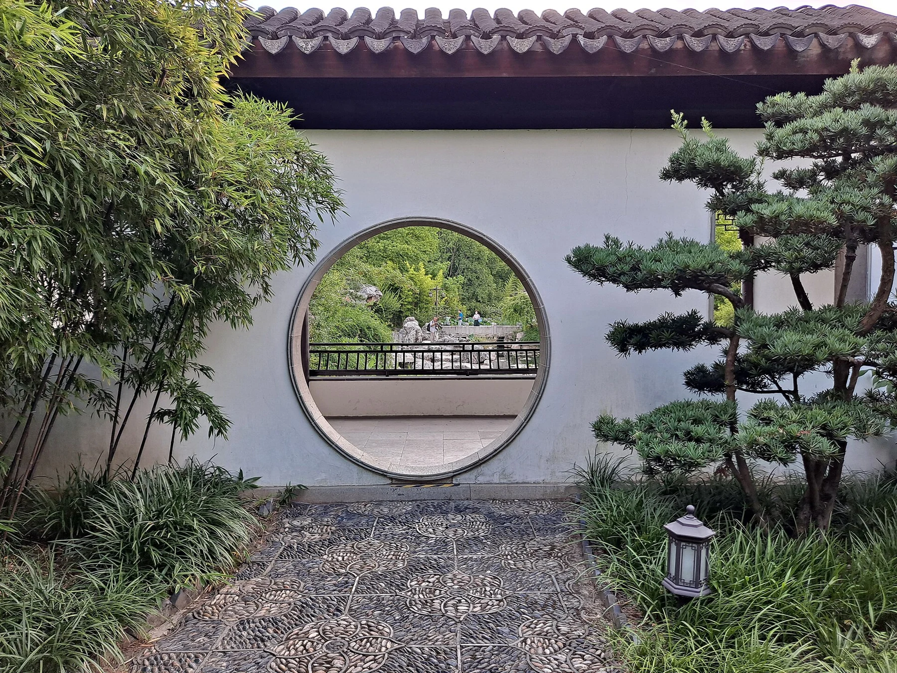 A round opening through a white wall between bamboo, a small tree and patterned paving.
