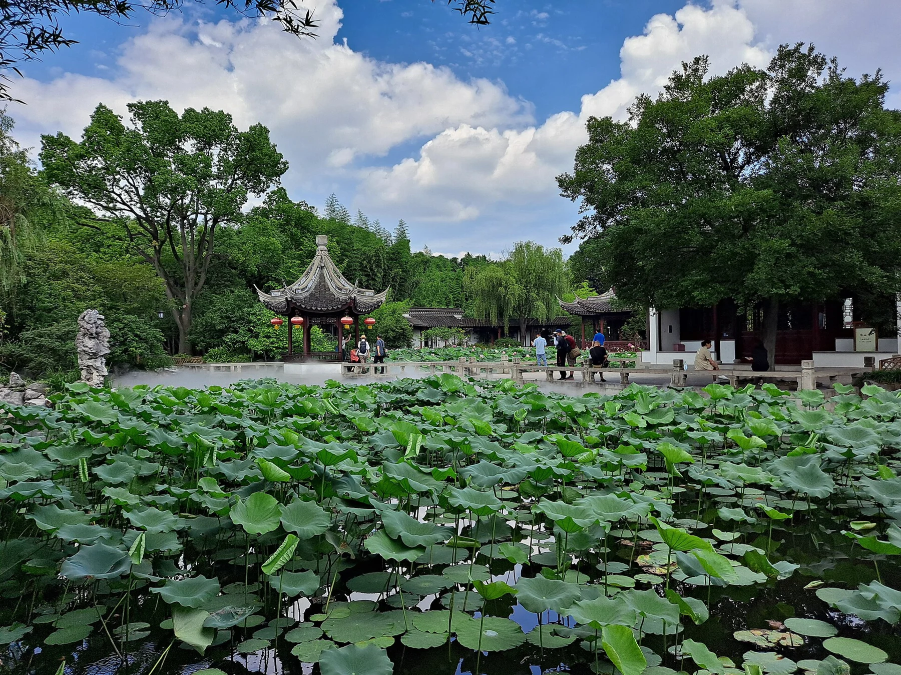 A pond covered in green lotus leaves below a pale sky and garden buildings.