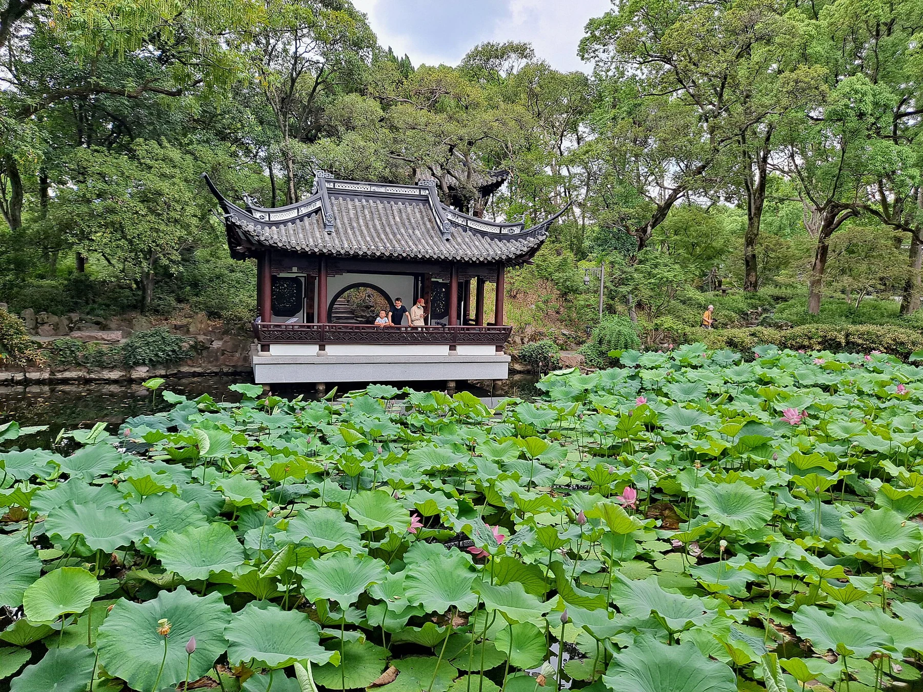 A small pavilion with a round opening beyond broad green lotus leaves.