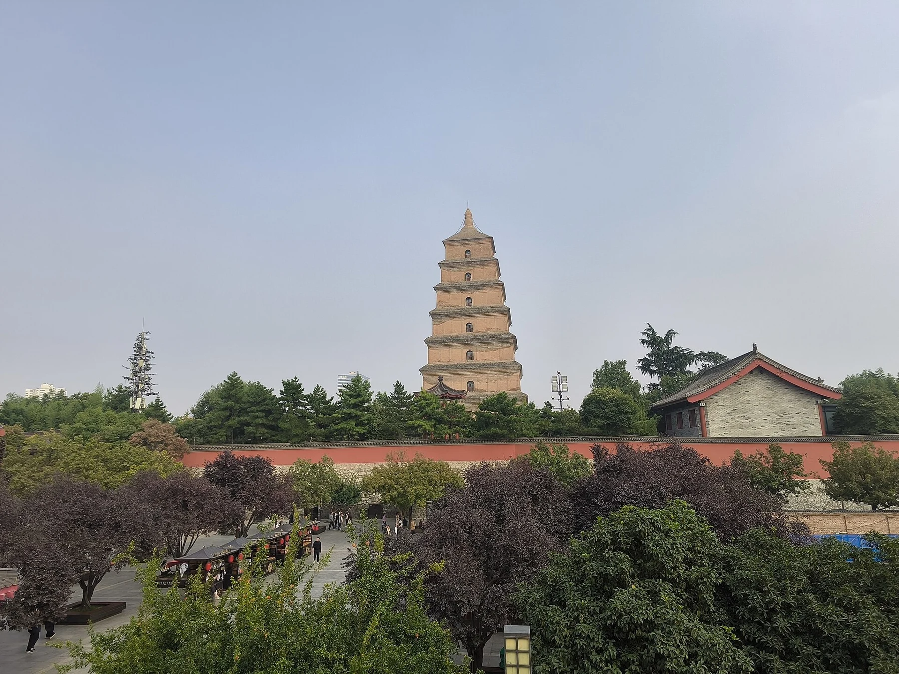 Wide view of the pagoda beyond trees, roofs and a visitor path.