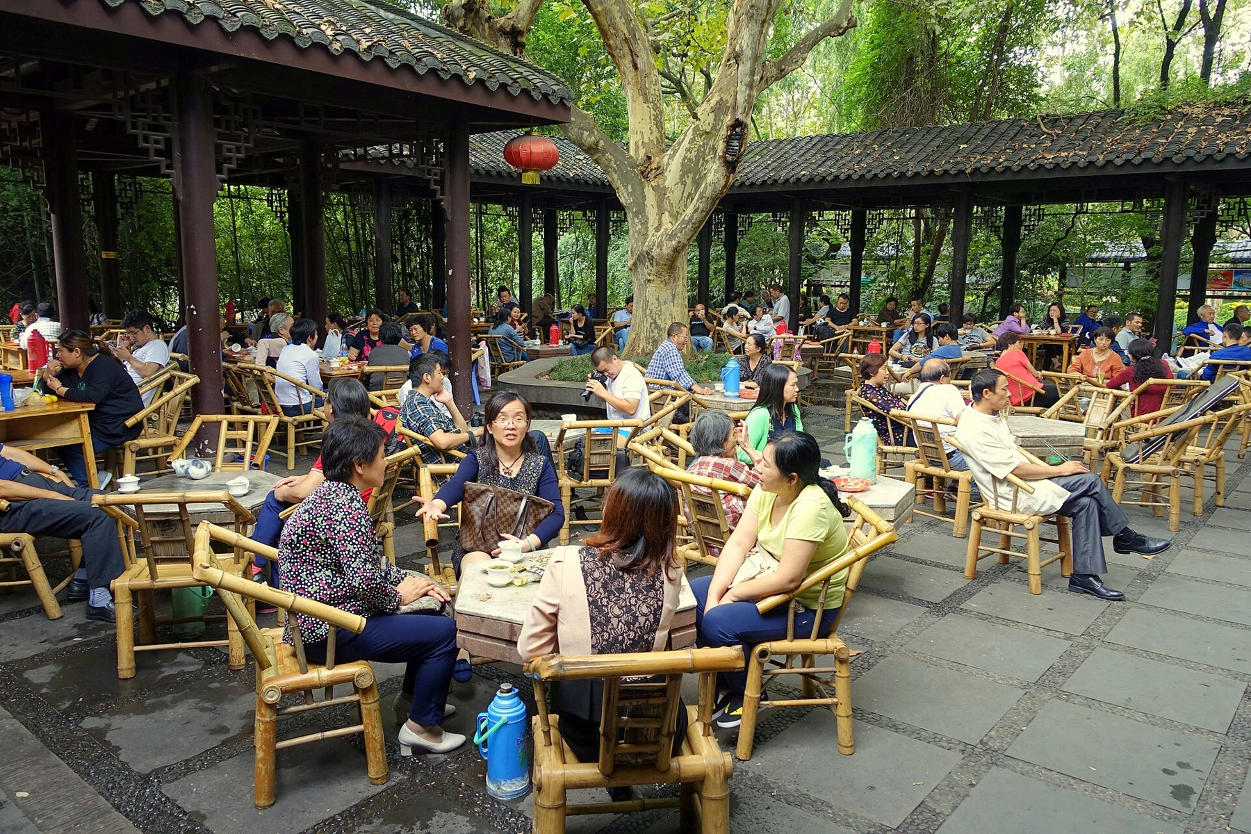 Many people seated in bamboo chairs around small tea tables beneath trees.