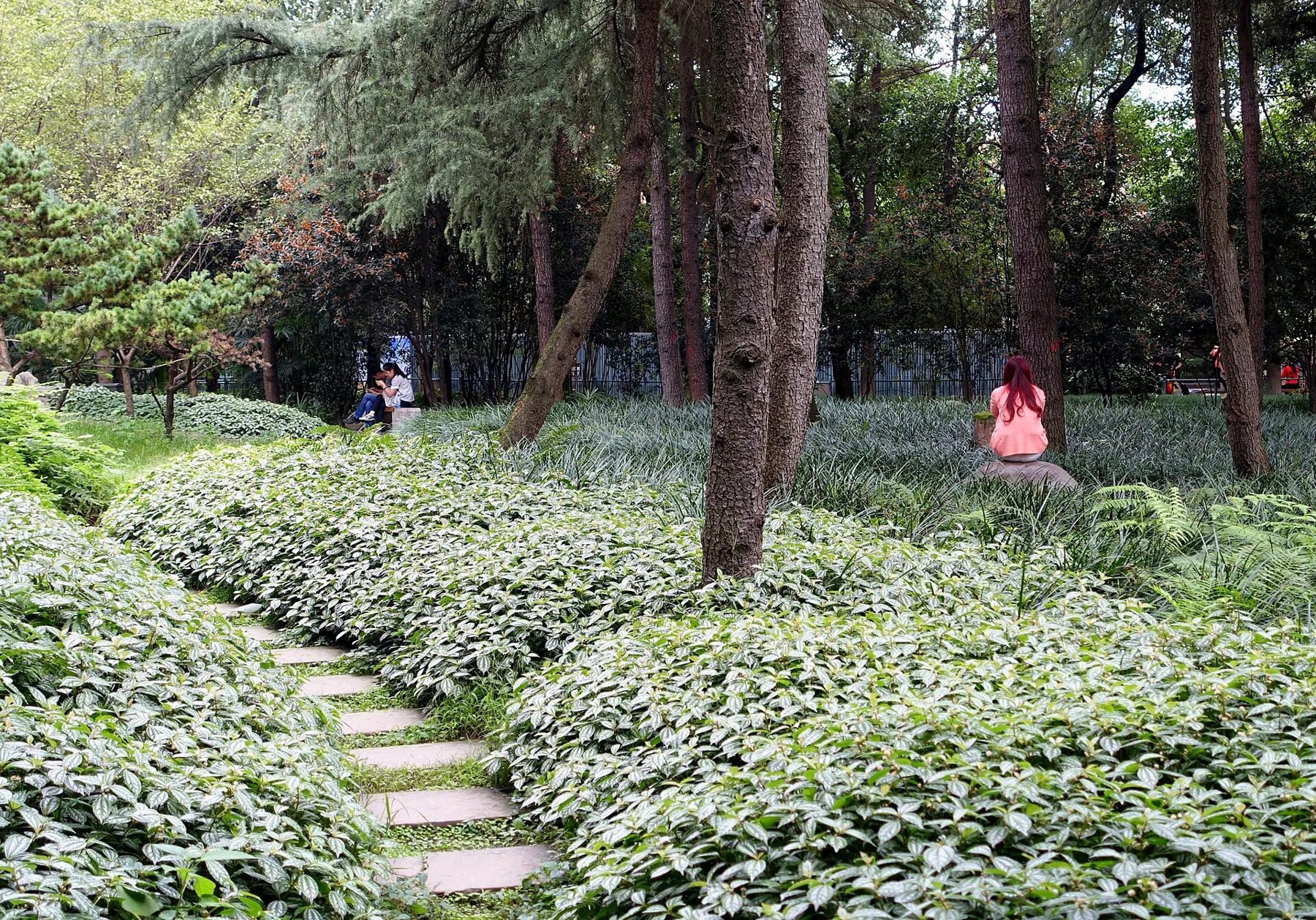 Stepping stones passing through dense green planting beneath mature trees.