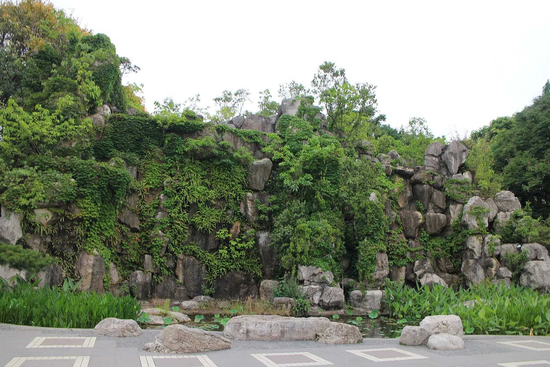 Large grey rocks interwoven with green climbing plants beside a paved area.
