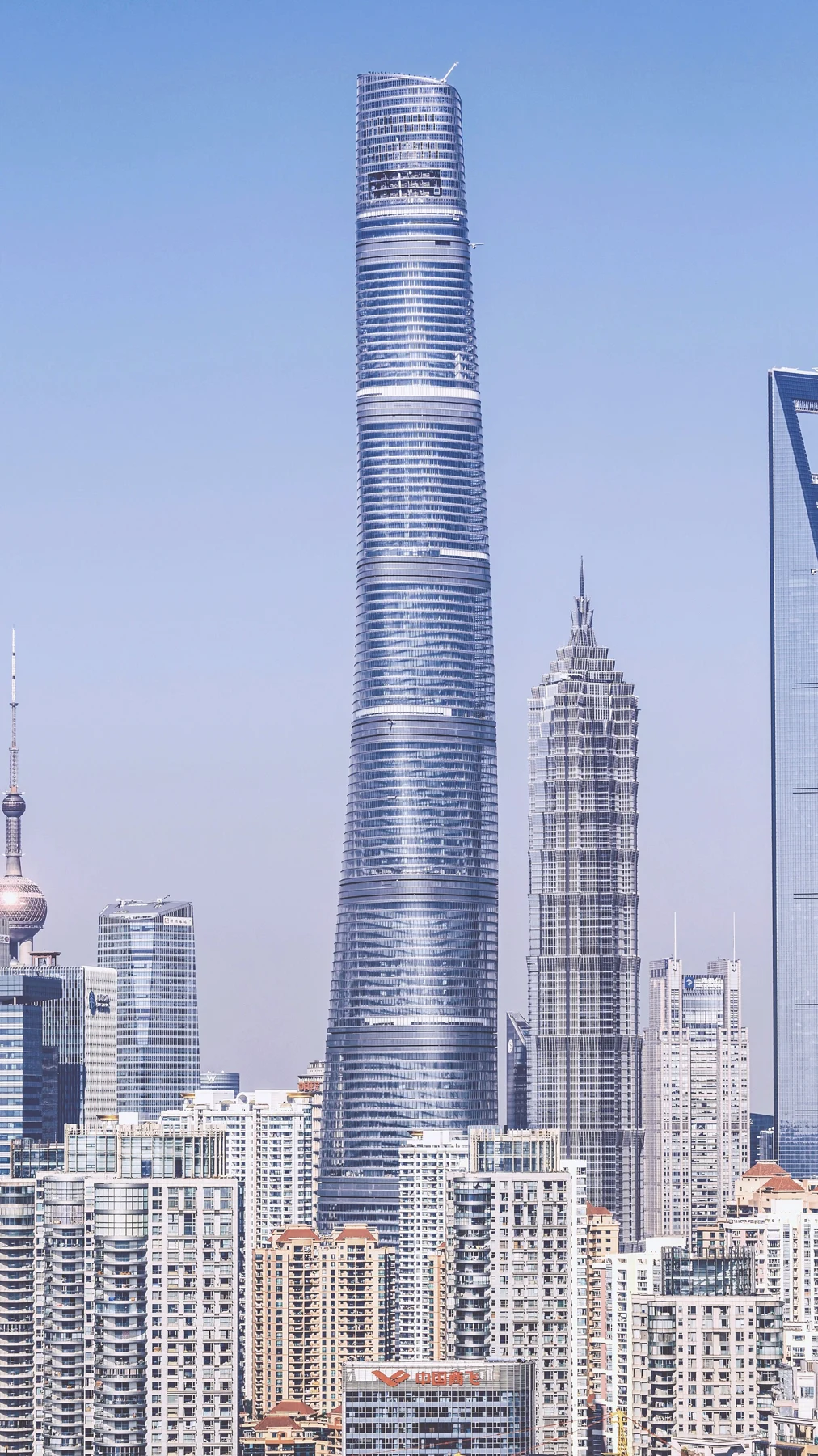 The rounded tower and stepped Jin Mao rising above lower city buildings.