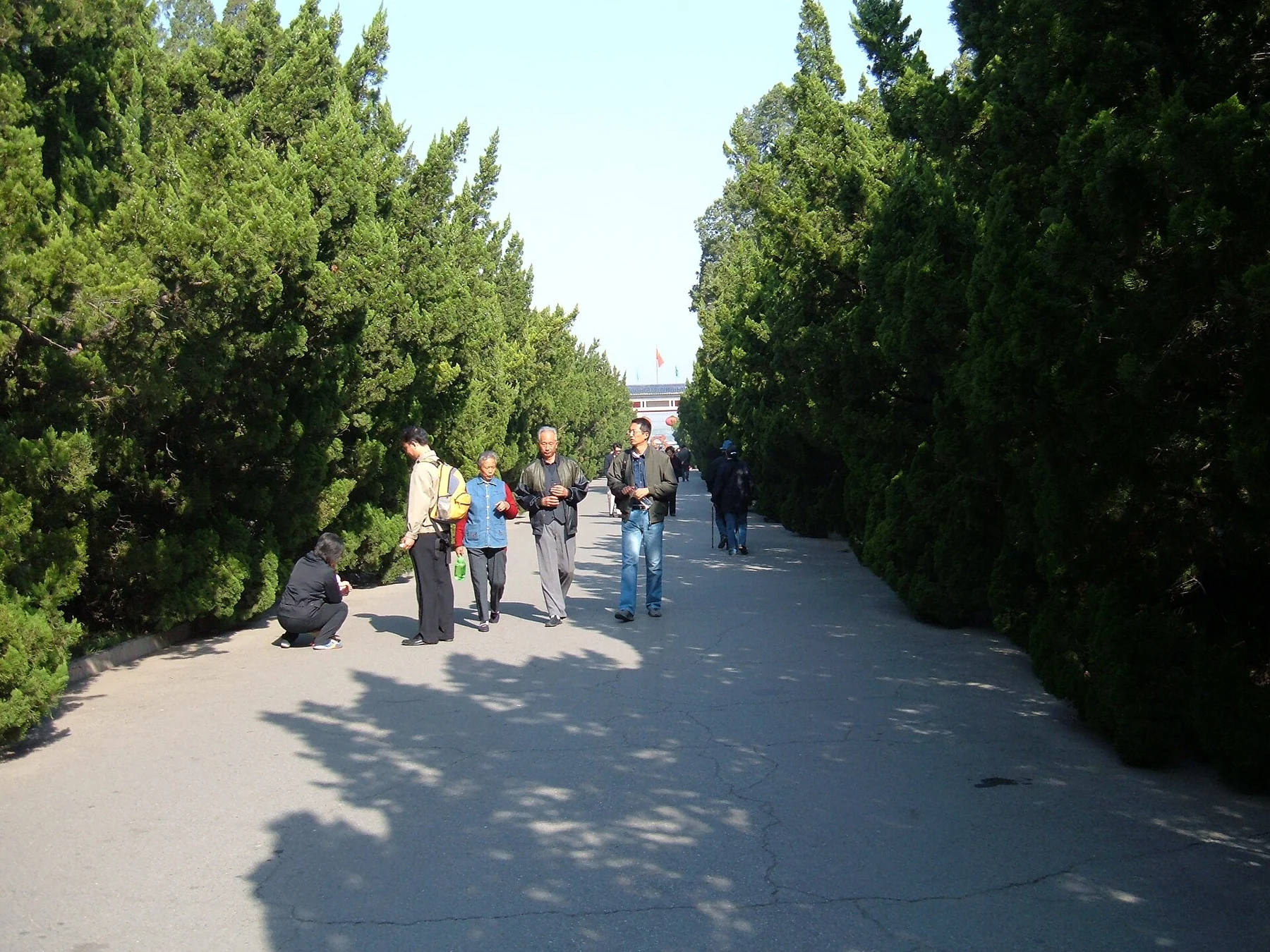 Visitors walking along a tree-lined path in the Temple of Heaven park.