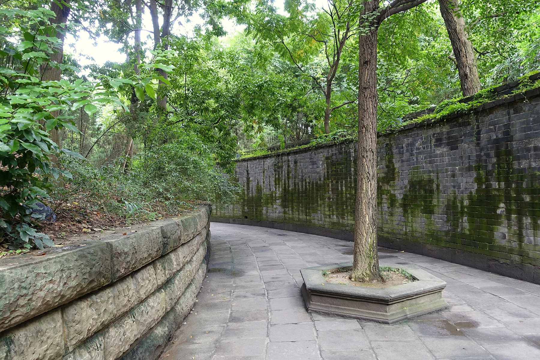 Curving path and retaining wall beside a planted mound and a tree