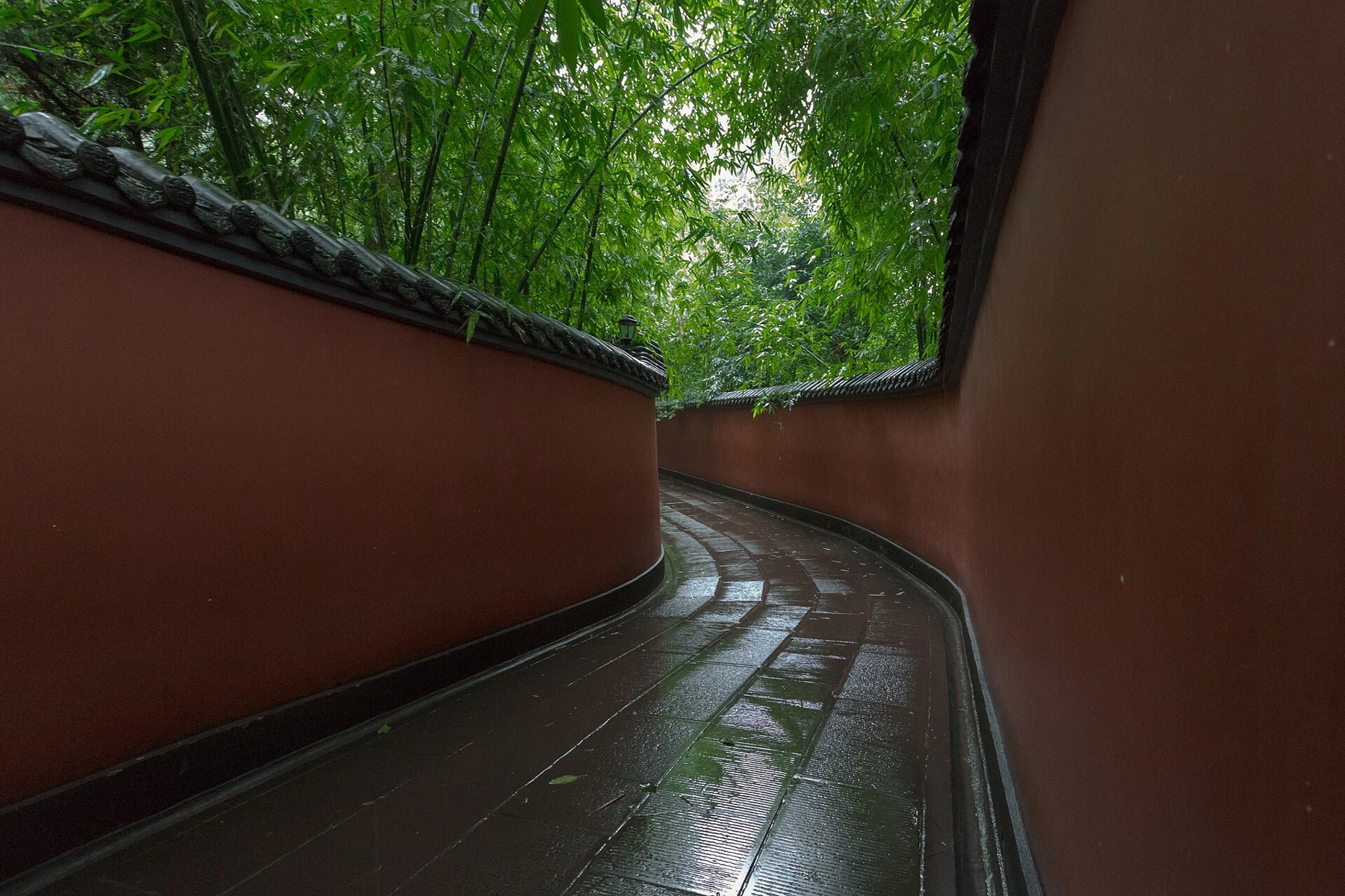 Wet stone path reflecting red walls and bamboo