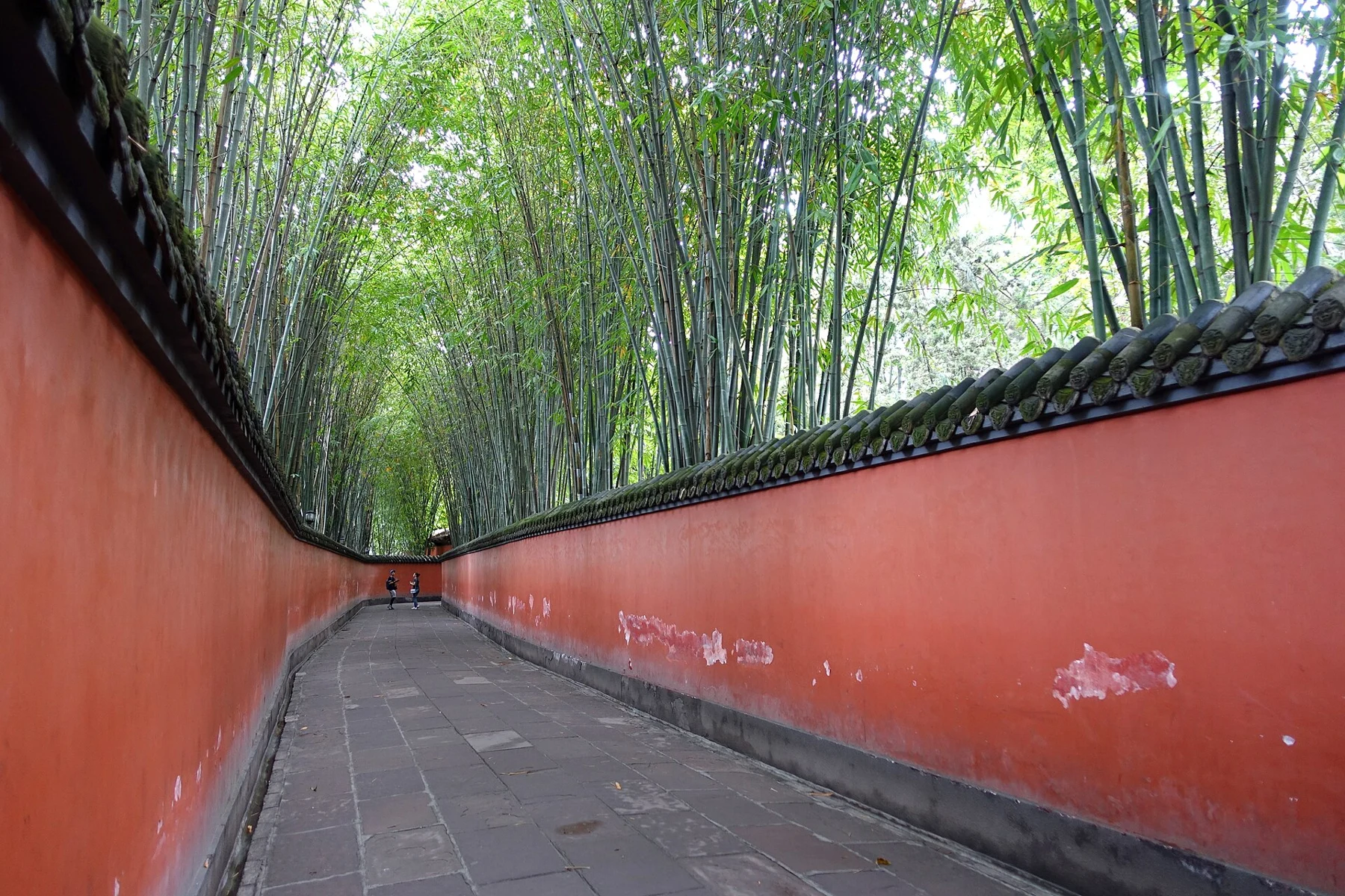 Narrow stone path between red walls with tall green bamboo above