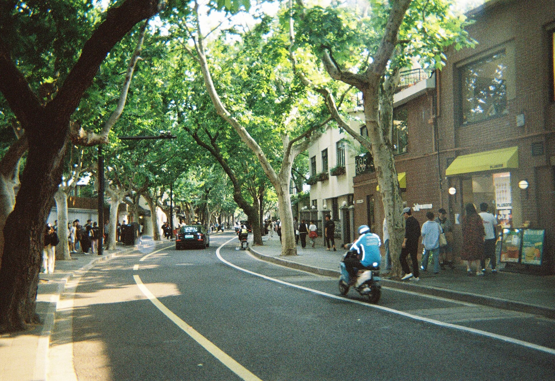 A leafy street with pedestrians, a scooter and low-rise buildings beneath the canopy.