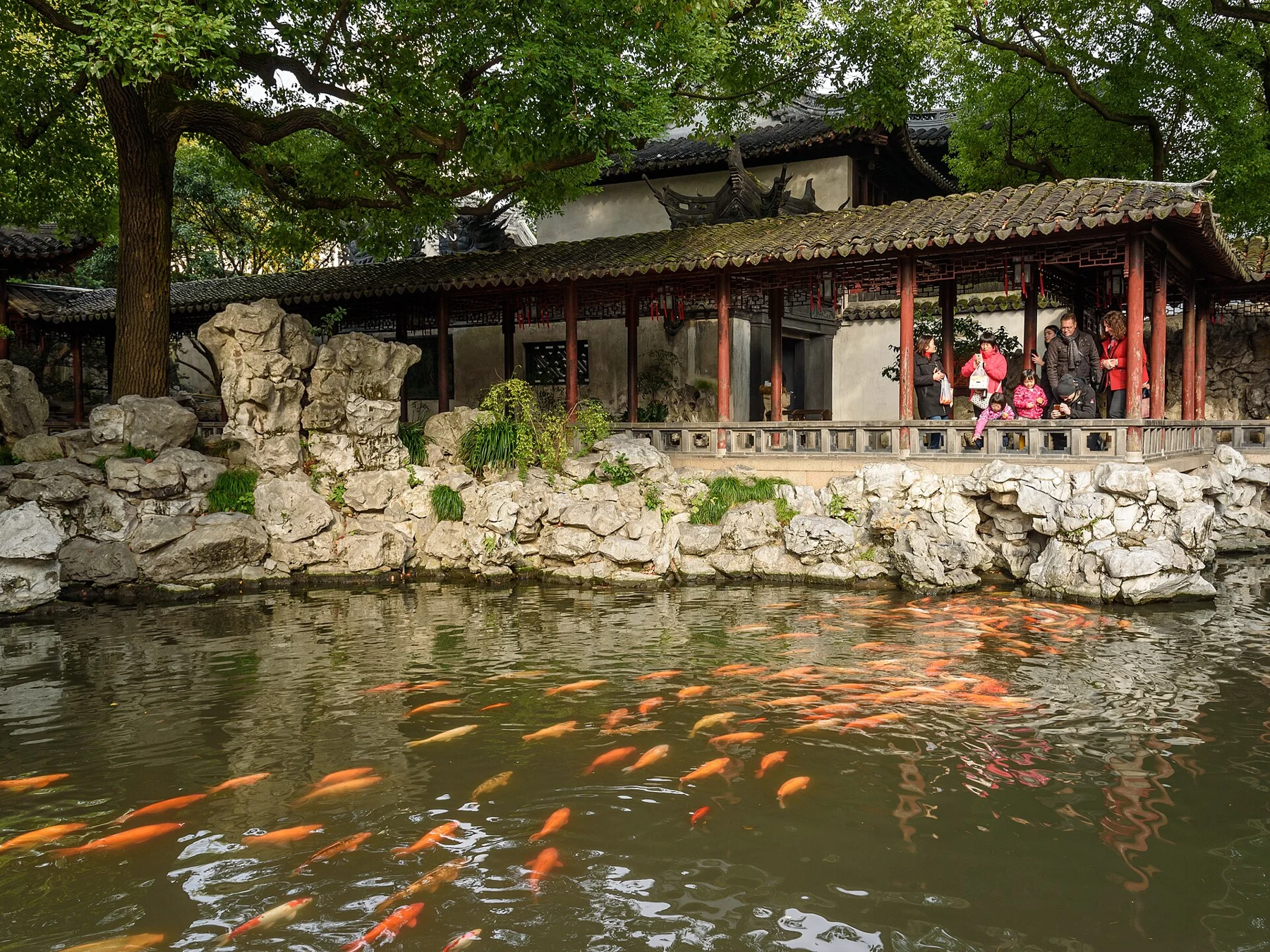 Fish near the pond surface in front of a covered corridor and irregular stone bank.