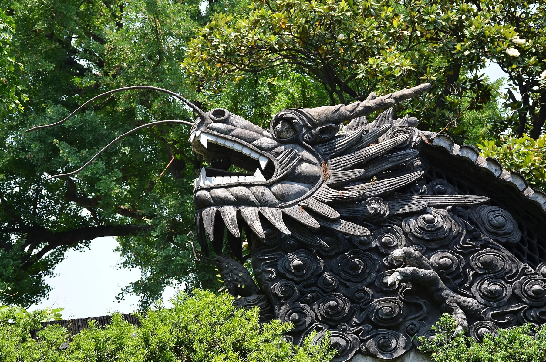 A sculpted dragon head with open jaws, long whiskers and scales above a white wall.
