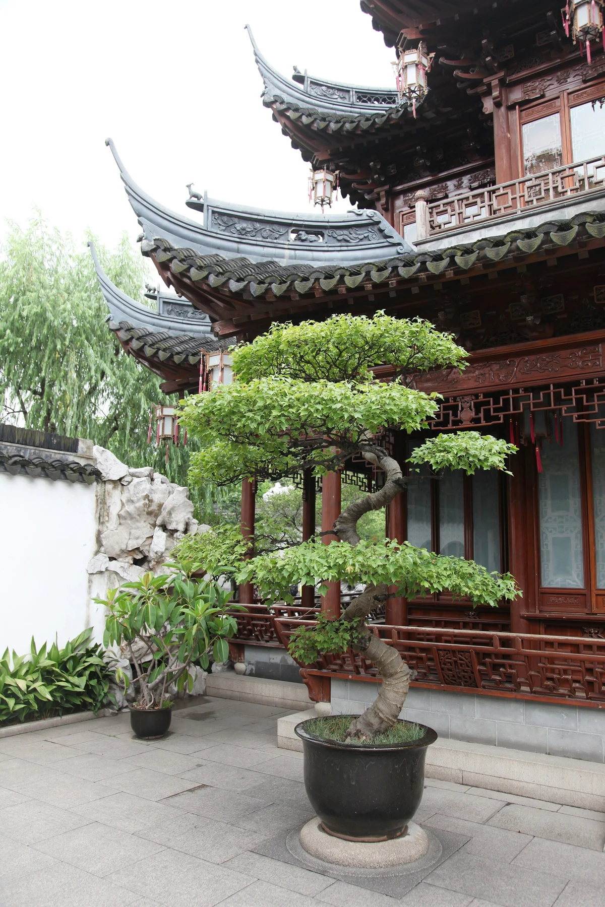 A trained tree in a pot beside carved timber windows and the tower’s eaves.